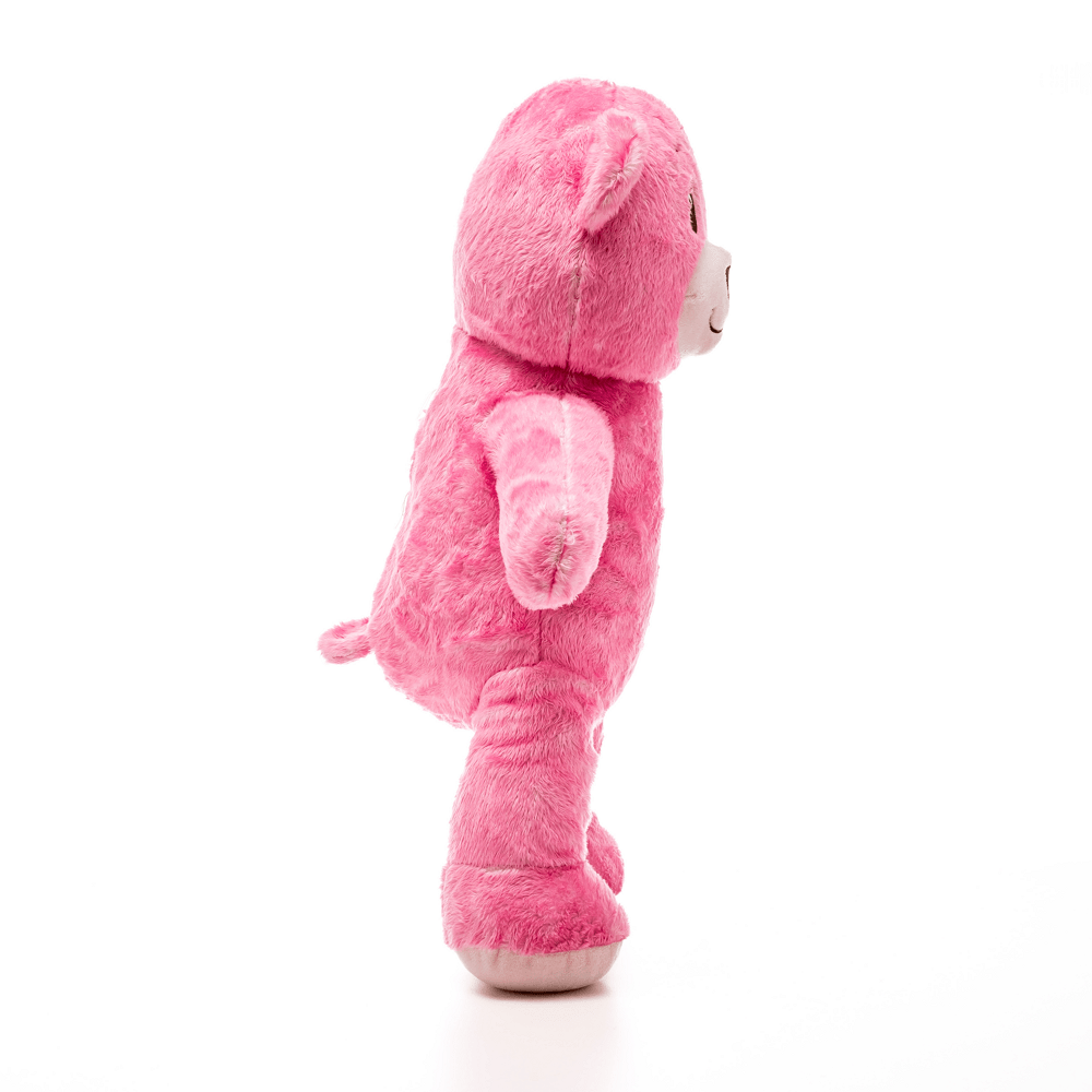 kHknqJ.3010076-URSO-PELO-ROSA-2