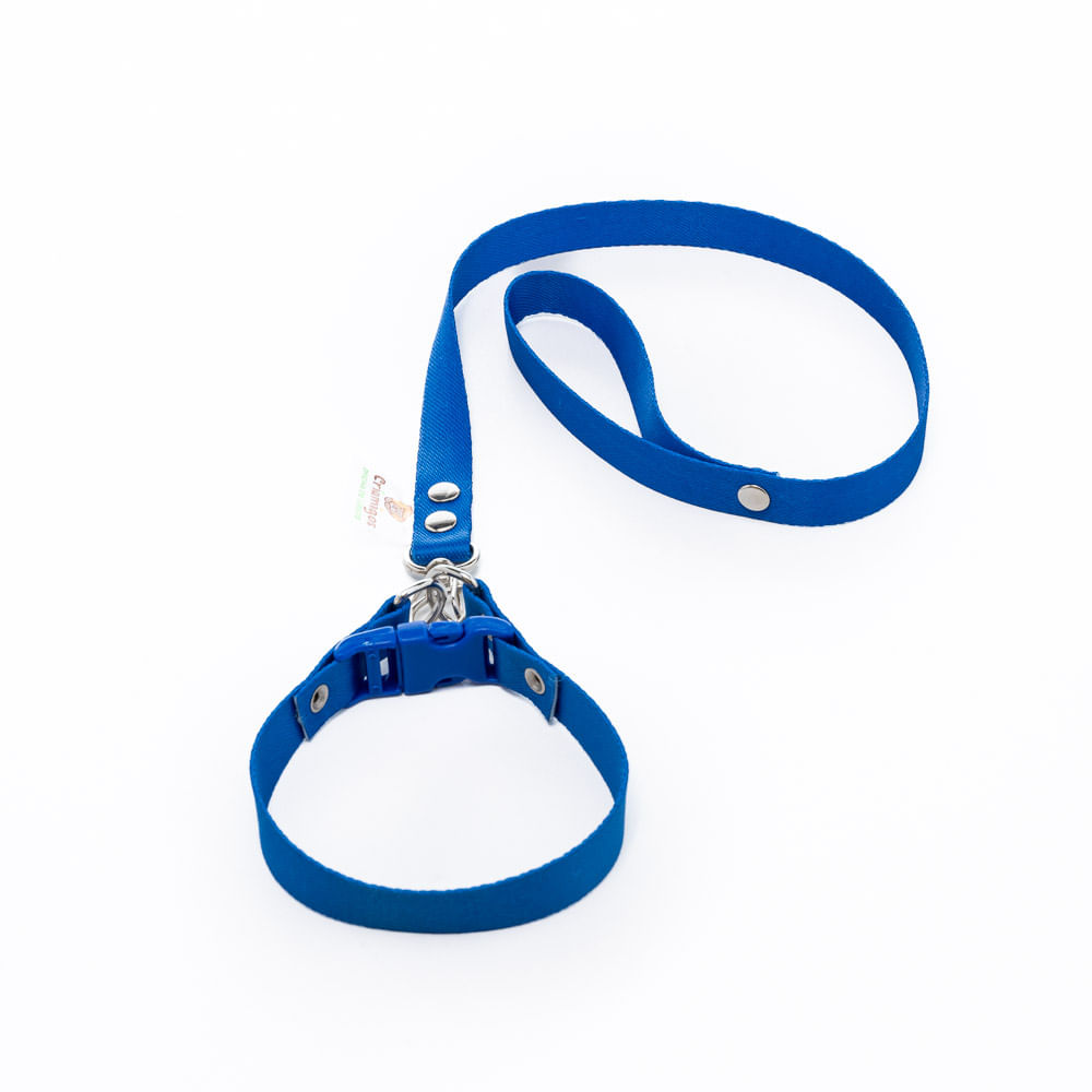 1290007-COLEIRA-CETIM-AZUL-1.jpg