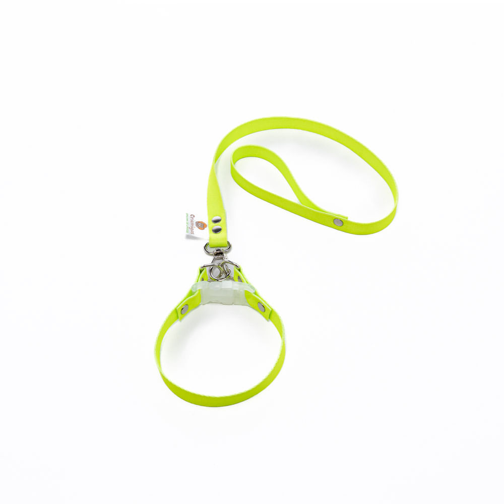 1290008-COLEIRA-NEON-VERDE-1.jpg