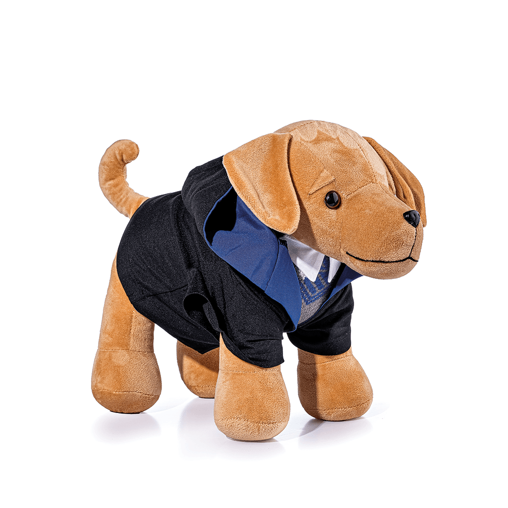 kit-cachorro-caramelo-com-uniforme-corvinal-cor-unica;uni