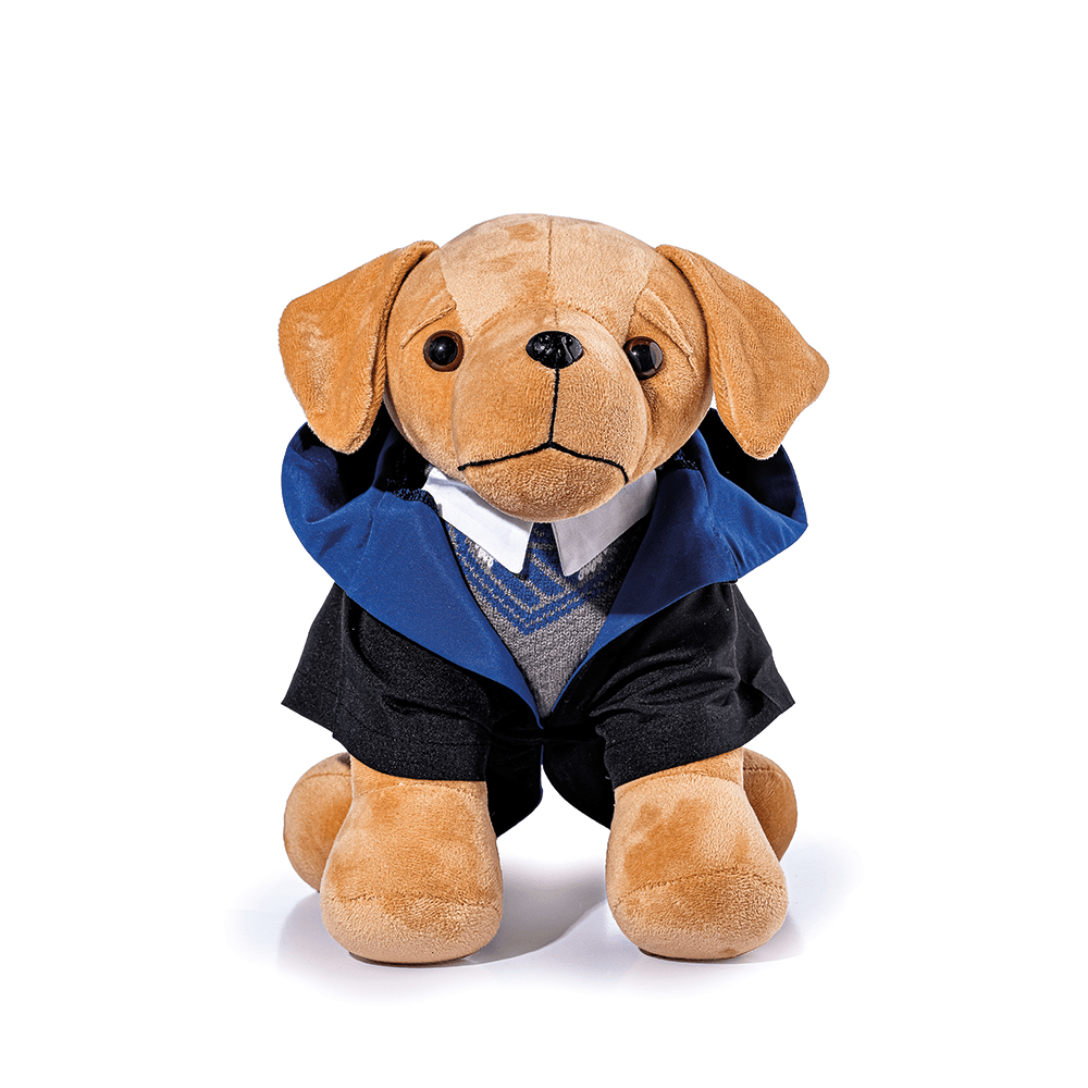 kit-cachorro-caramelo-com-uniforme-corvinal-cor-unica;uni