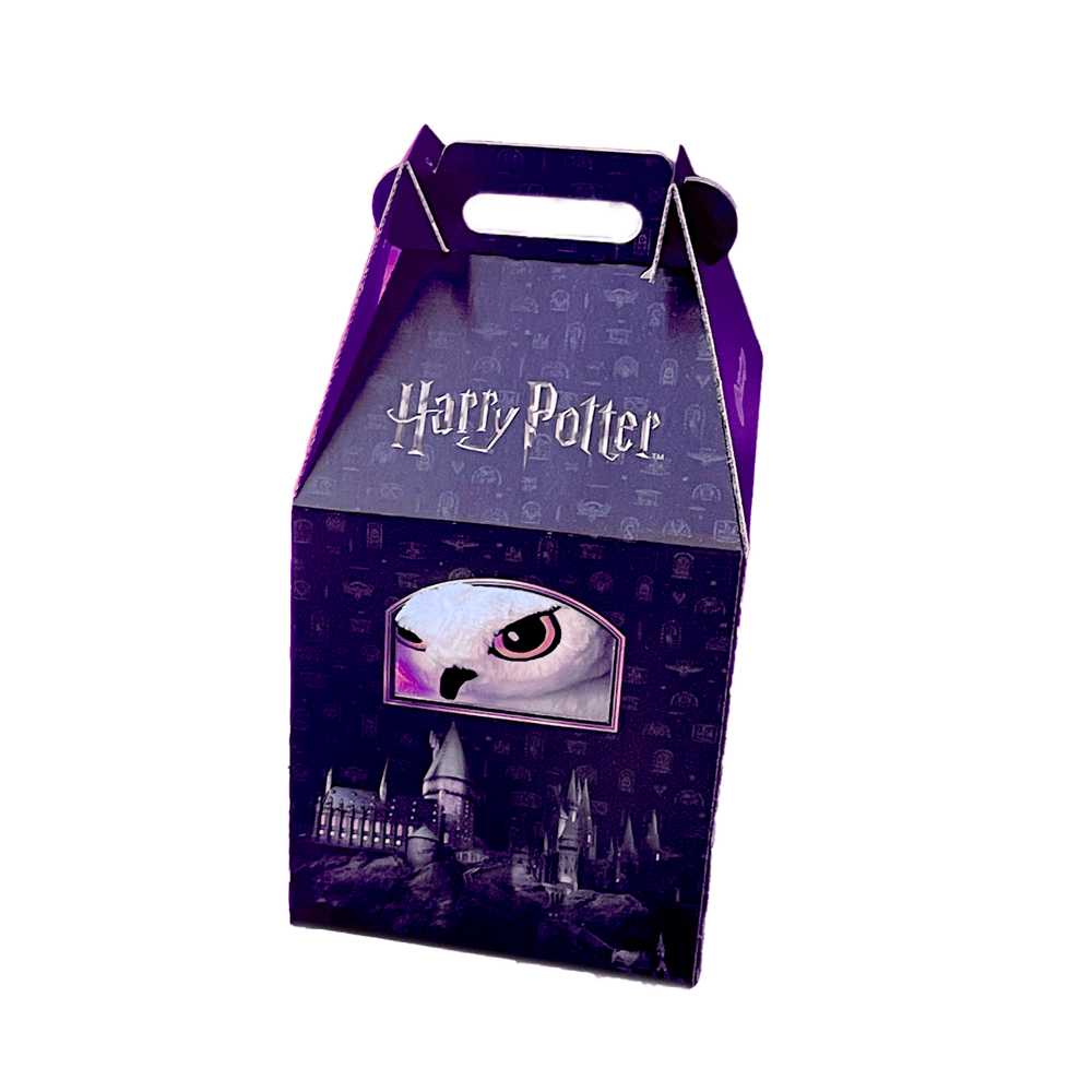 embalagem-casinha-harry-potter-cor-unica-uni