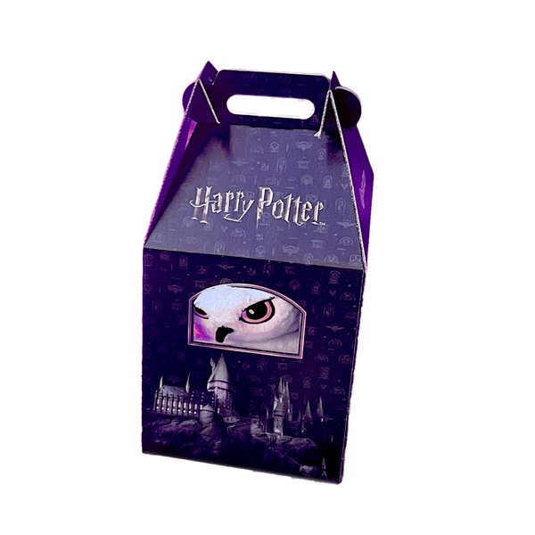 embalagem-casinha-harry-potter-cor-unica-uni