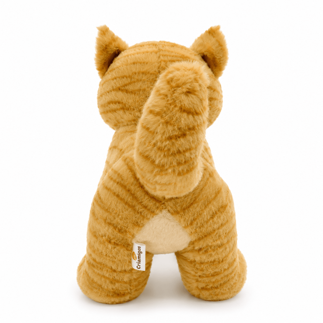 gato-tabby-laranja-cor-unica-uni